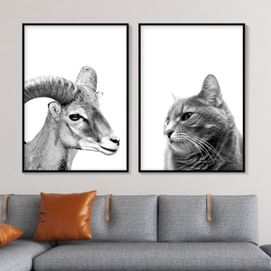 흑백 동물액자 산양/고양이 인테리어 포스터